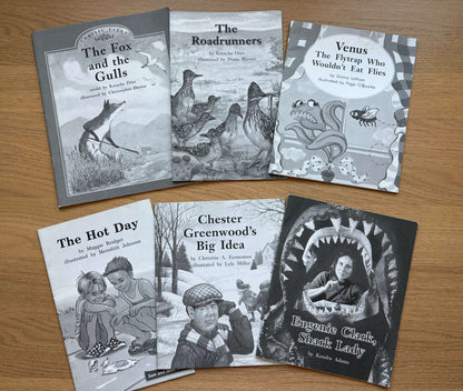 Book Bundle Reading Practice Levels M & N