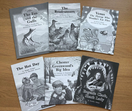Book Bundle Reading Practice Levels M & N