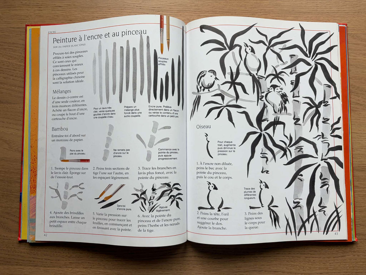 Art Book in French