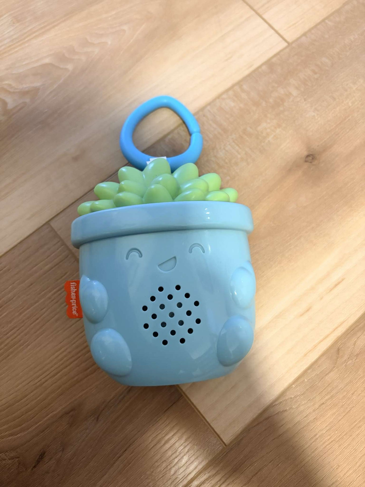 Fisher-Price Soothe & Go Succulent