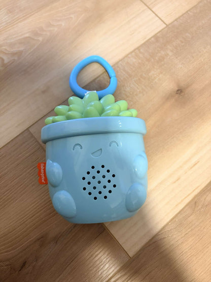 Fisher-Price Soothe & Go Succulent