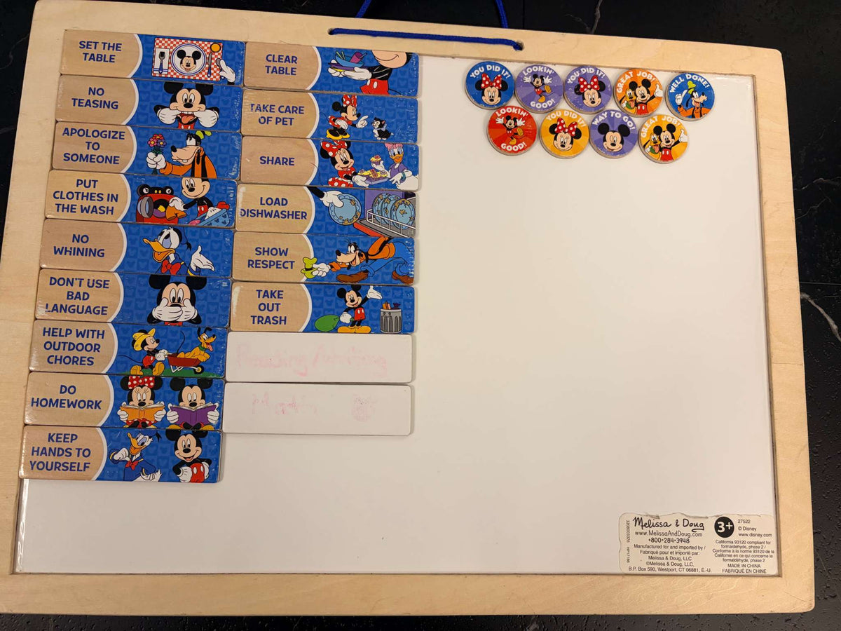 Magnetic Responsibility Chart Retails New for $29