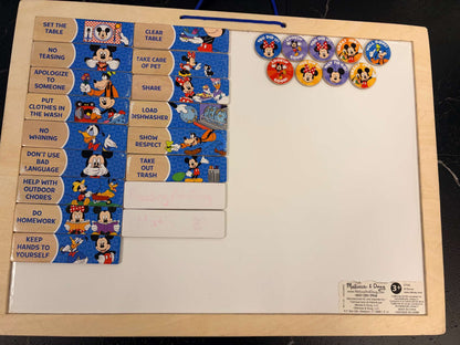 Magnetic Responsibility Chart Retails New for $29