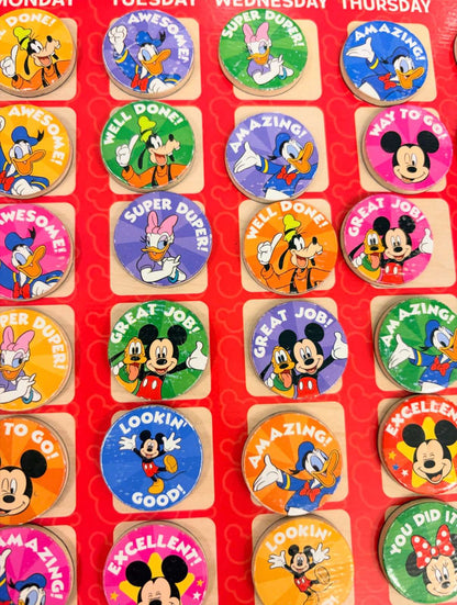 Magnetic Responsibility Chart Retails New for $29