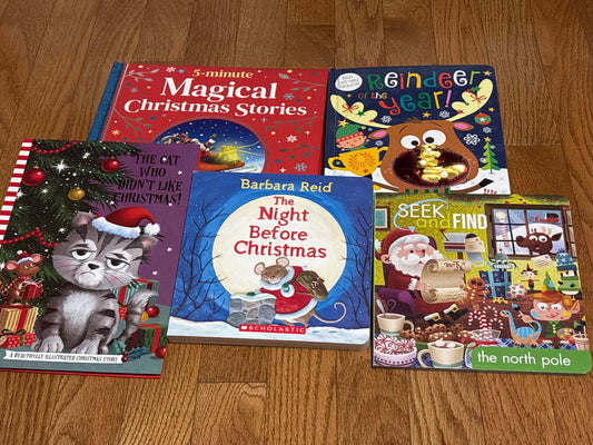 Christmas book bundle