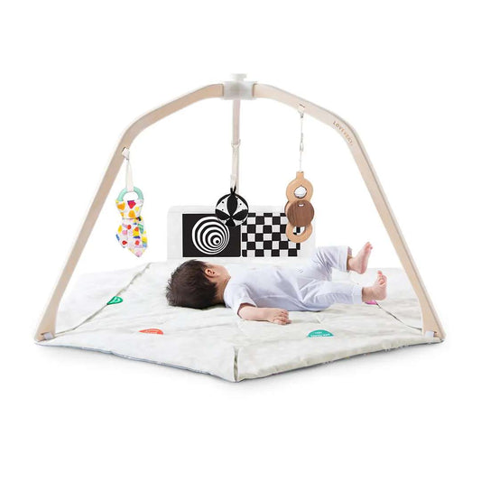 LOVEVERY The Play Gym