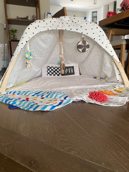LOVEVERY The Play Gym