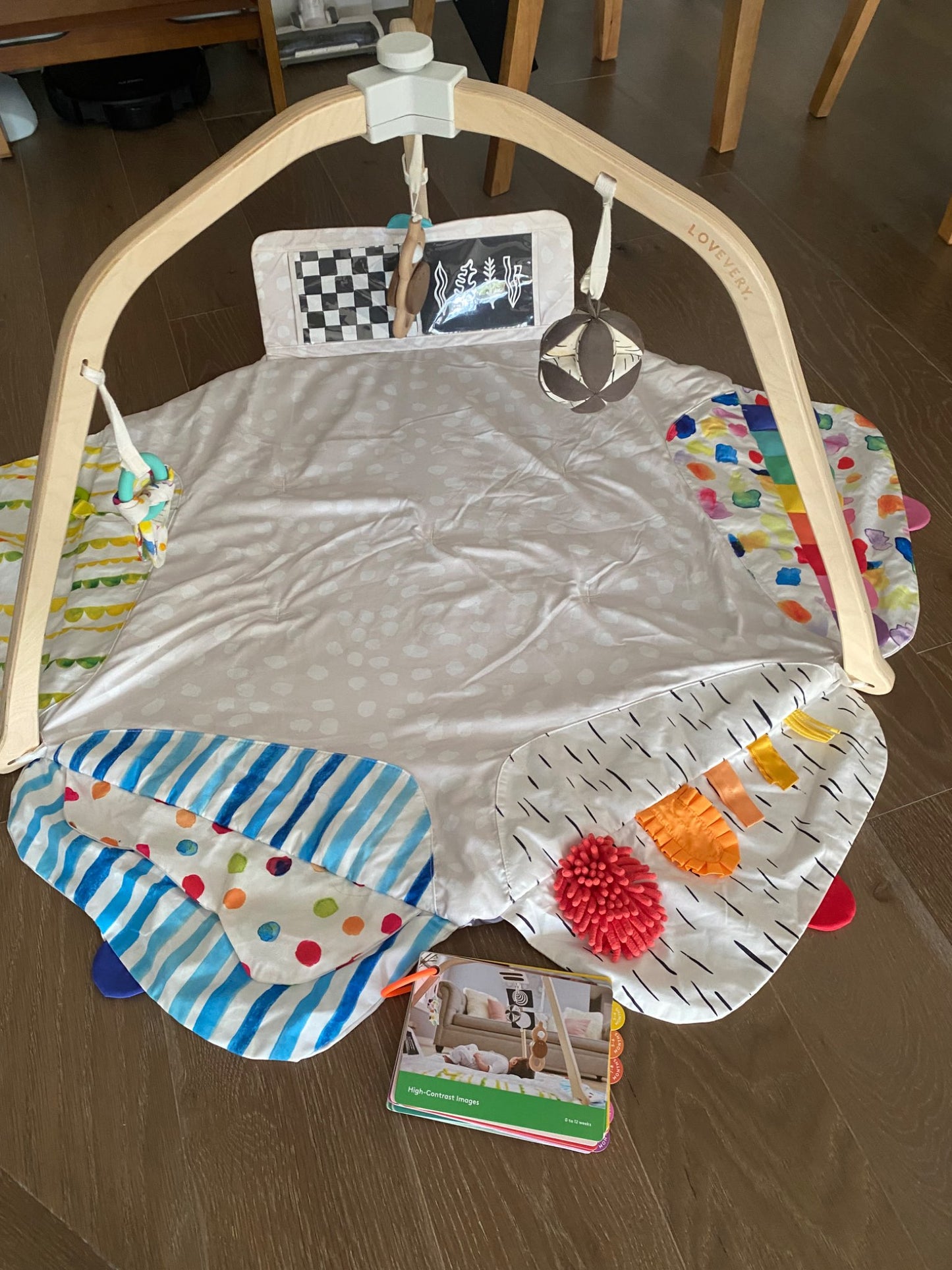 LOVEVERY The Play Gym