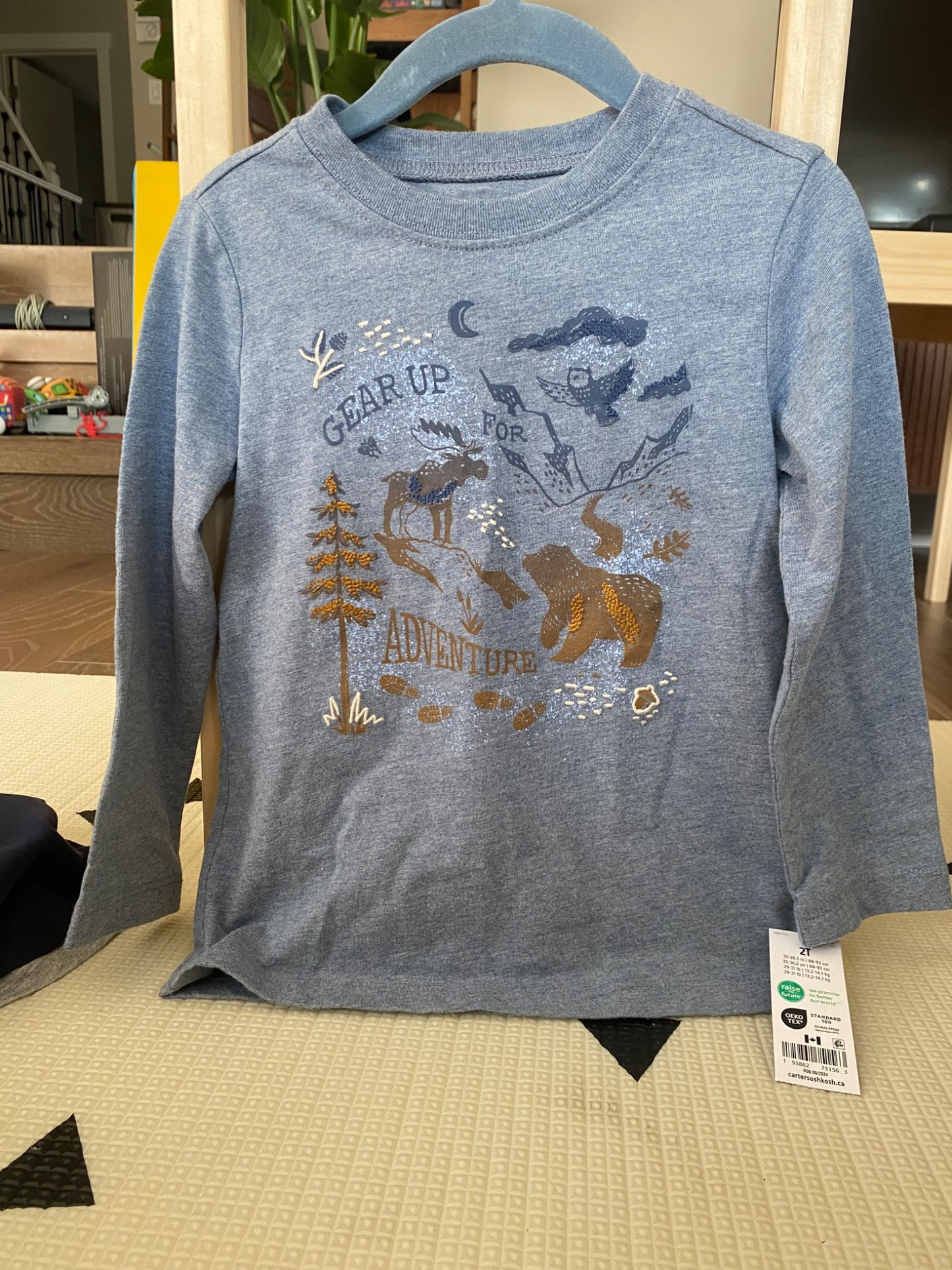2 long sleeve shirts NWT, Kids 2T