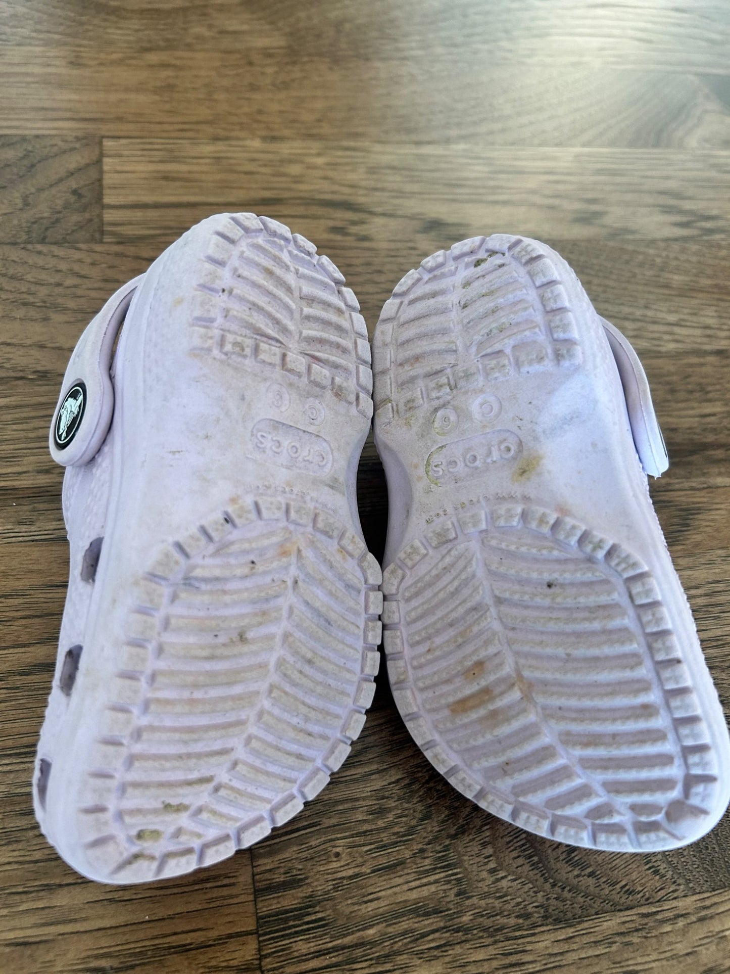 Crocs - Toddler Sz 6, Shoes 6 (Walkers:12-24 mth)