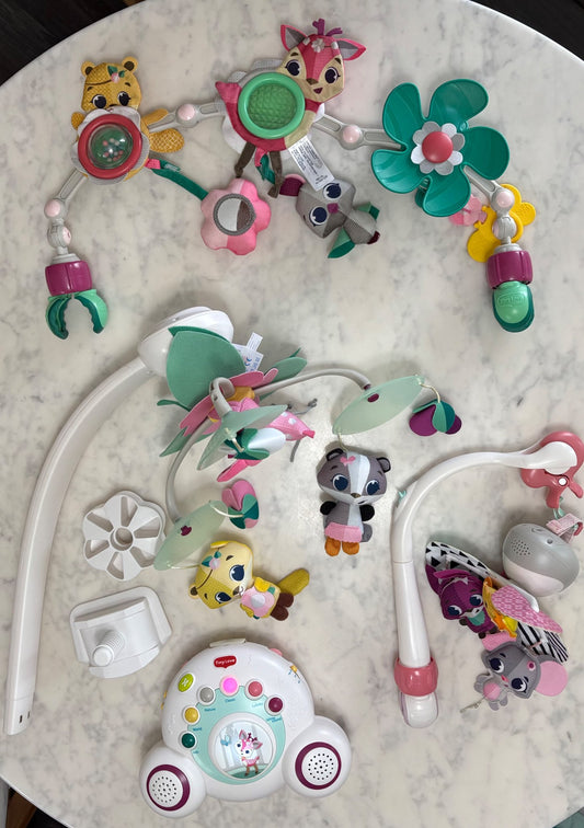 Tiny Love Forest Friends Bundle