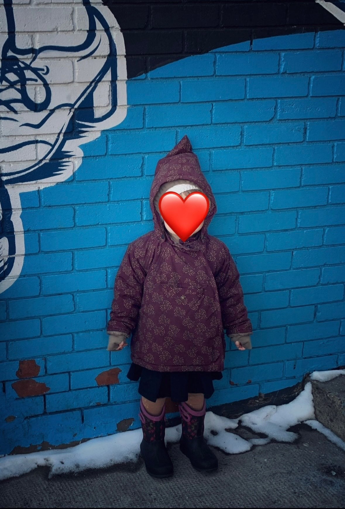 MINI-A-TURE Winter Jacket size 3-4T MSRP$280, Kids 3T