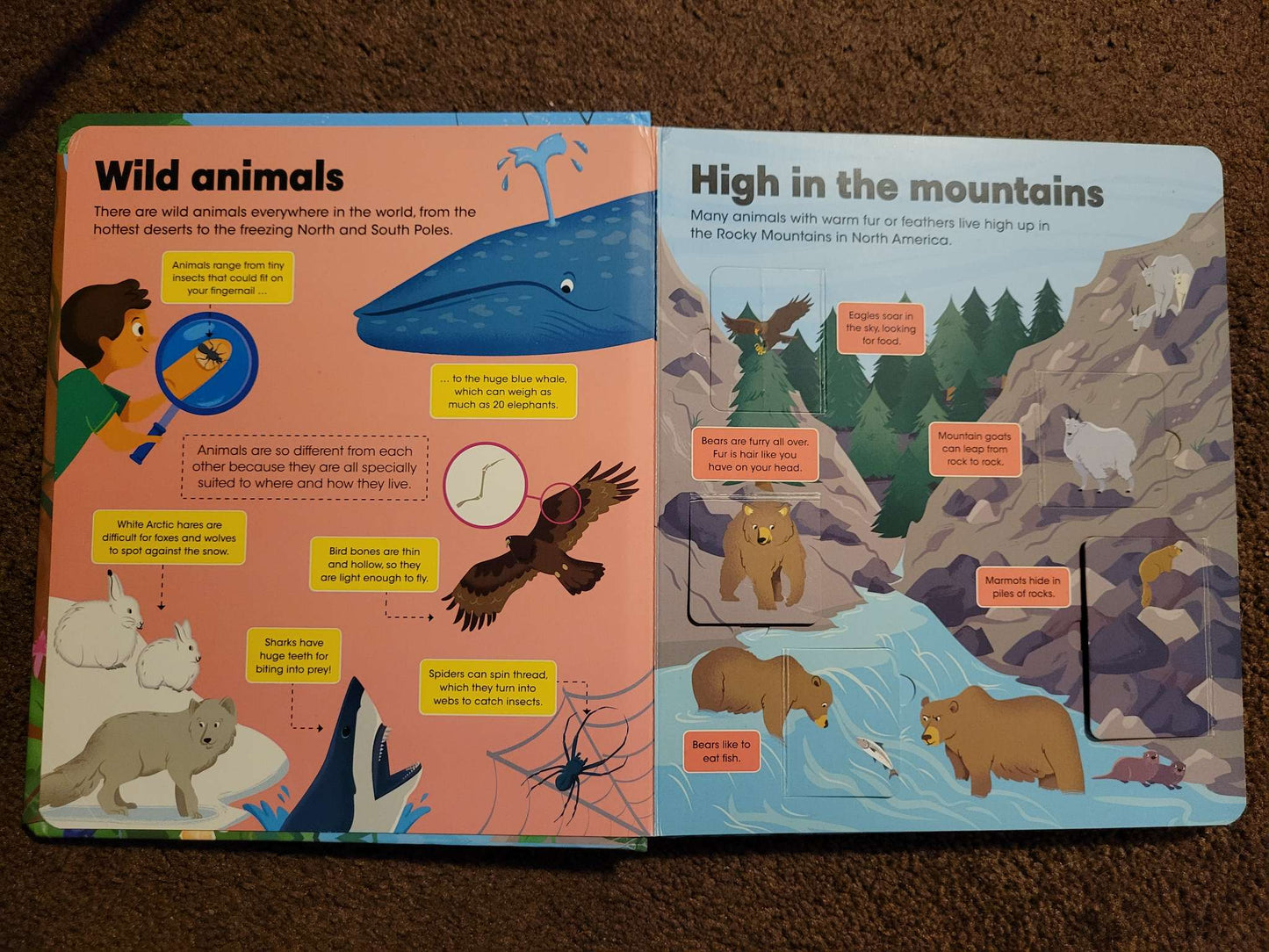 Wild Animals Book