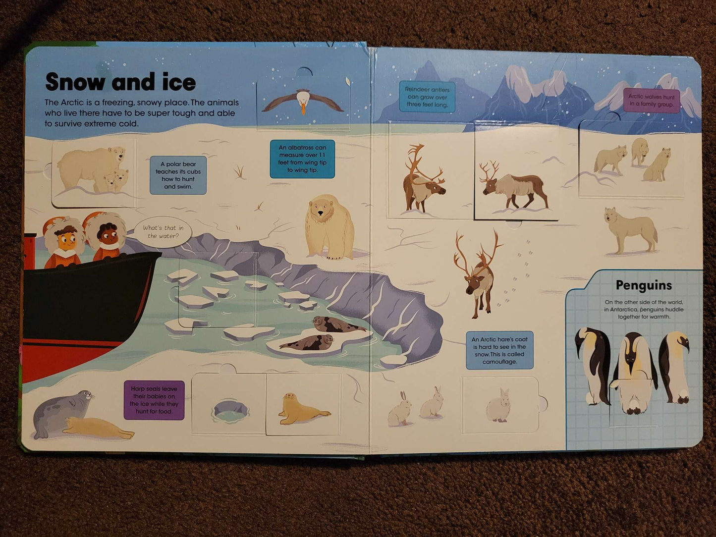 Wild Animals Book