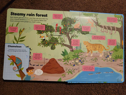 Wild Animals Book
