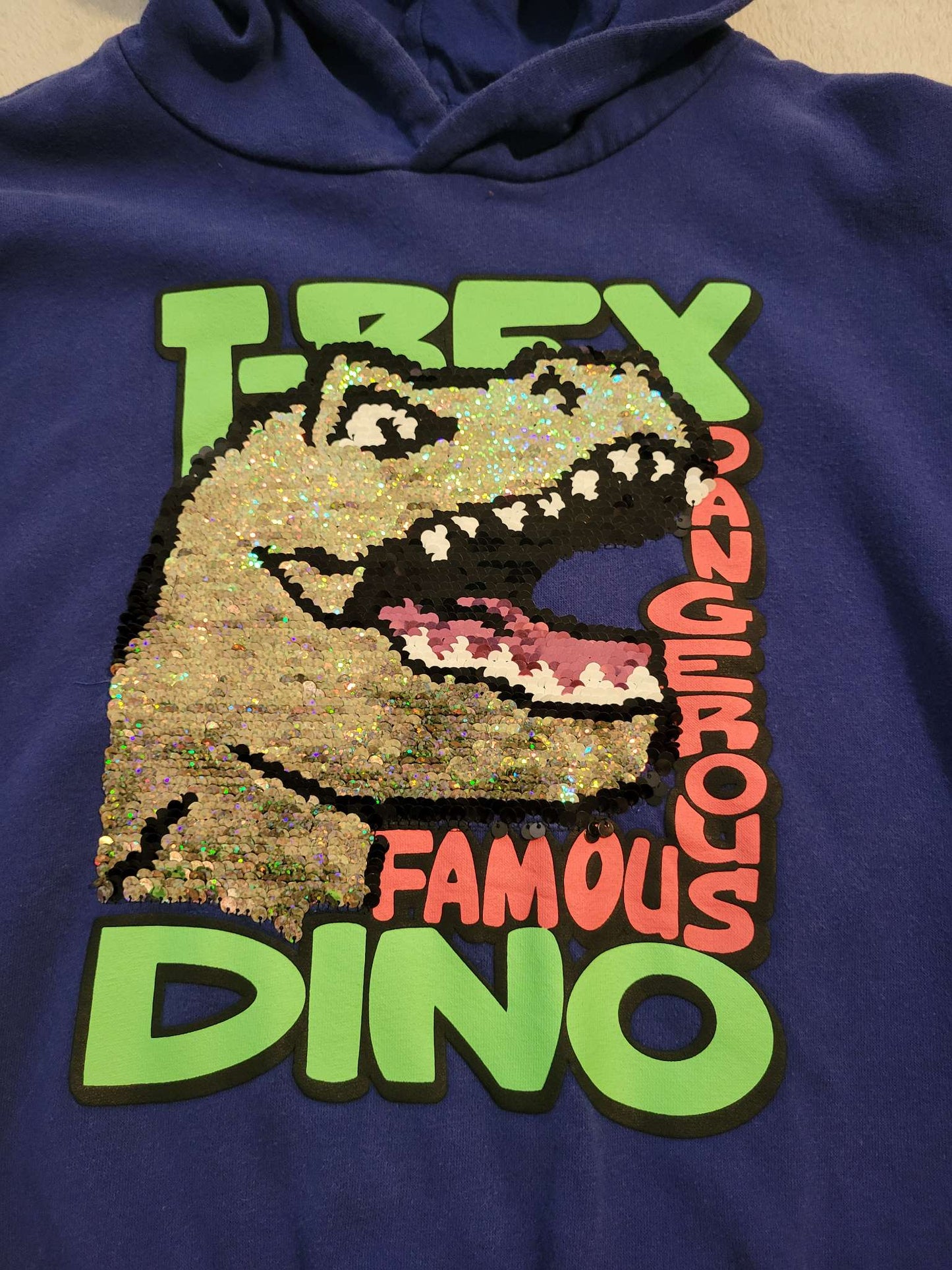 Dinosaur Hoodie, Kids 6/6X