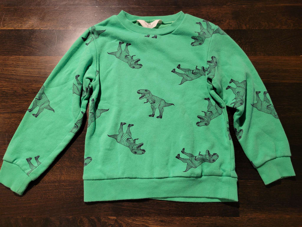 Dinosaur Sweater, Kids 6/6X