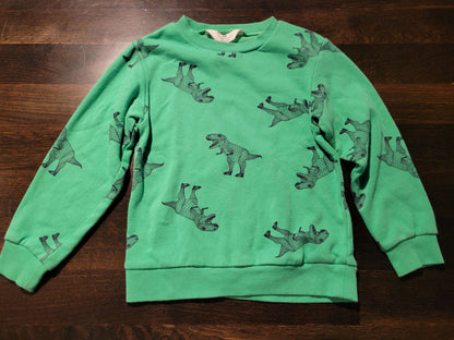 Dinosaur Sweater, Kids 6/6X