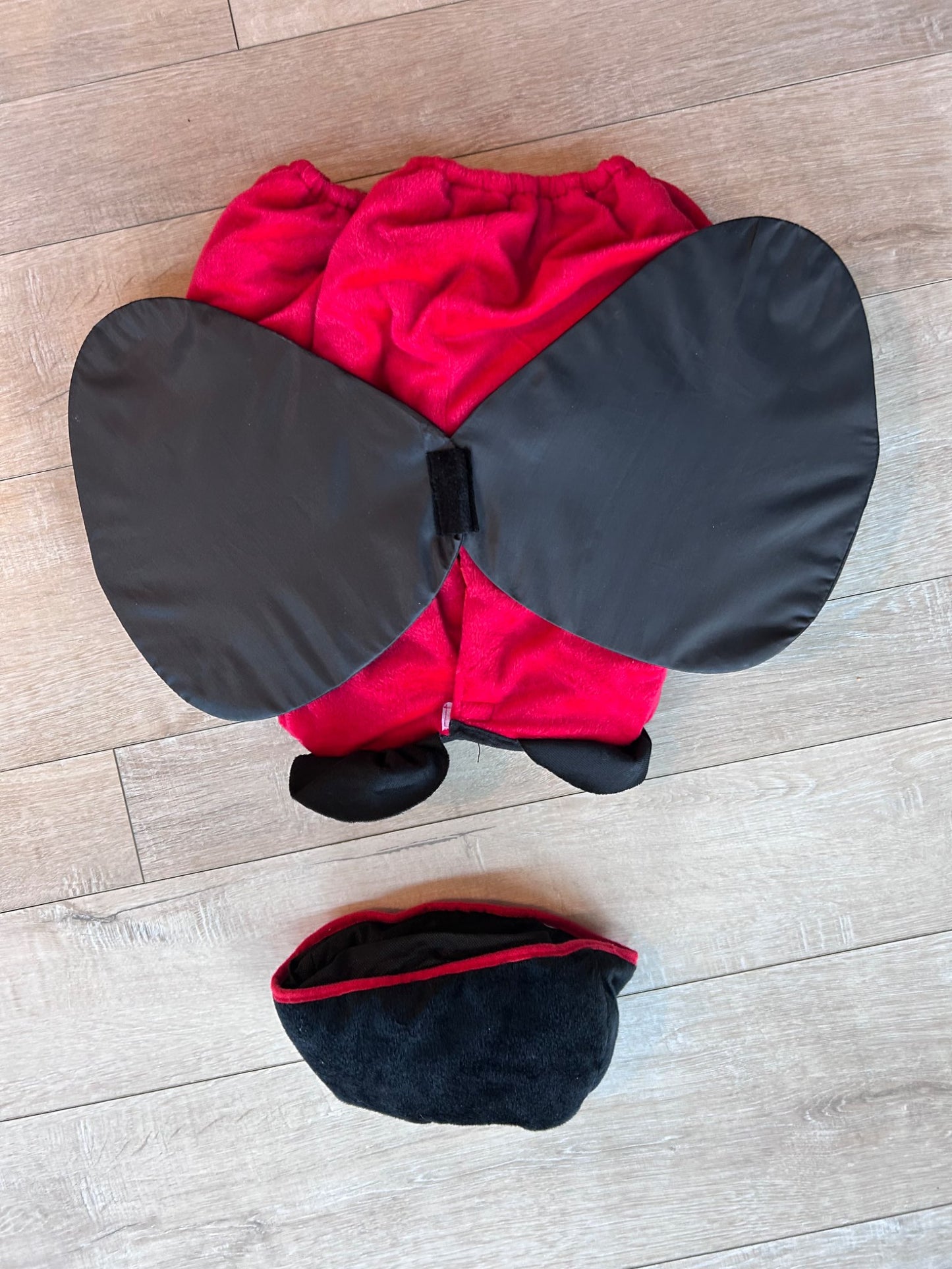 2T ladybug costume, Kids 2T