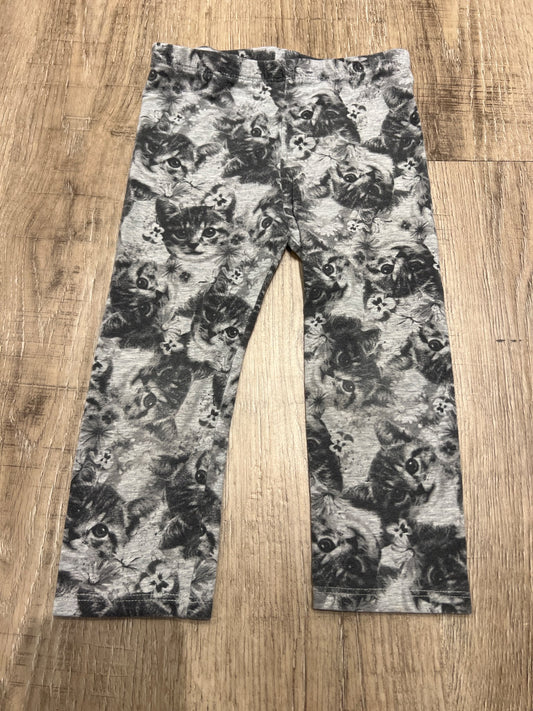 *Circo 4T cat pants , Kids 4/4T