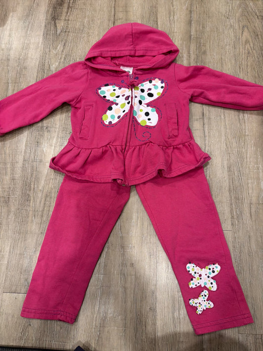 *Cherrystx 3T butterfly matching pink  sweater and pants , Kids 3T