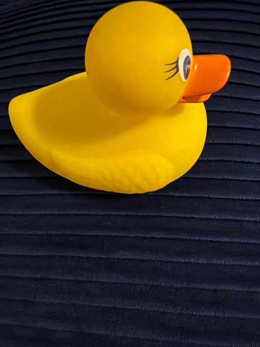 *Munchkin Bath baby duck that tells the water temperature if too hot