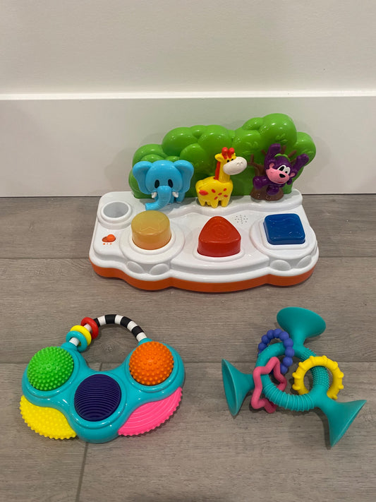 Toy bundle including sassy toys