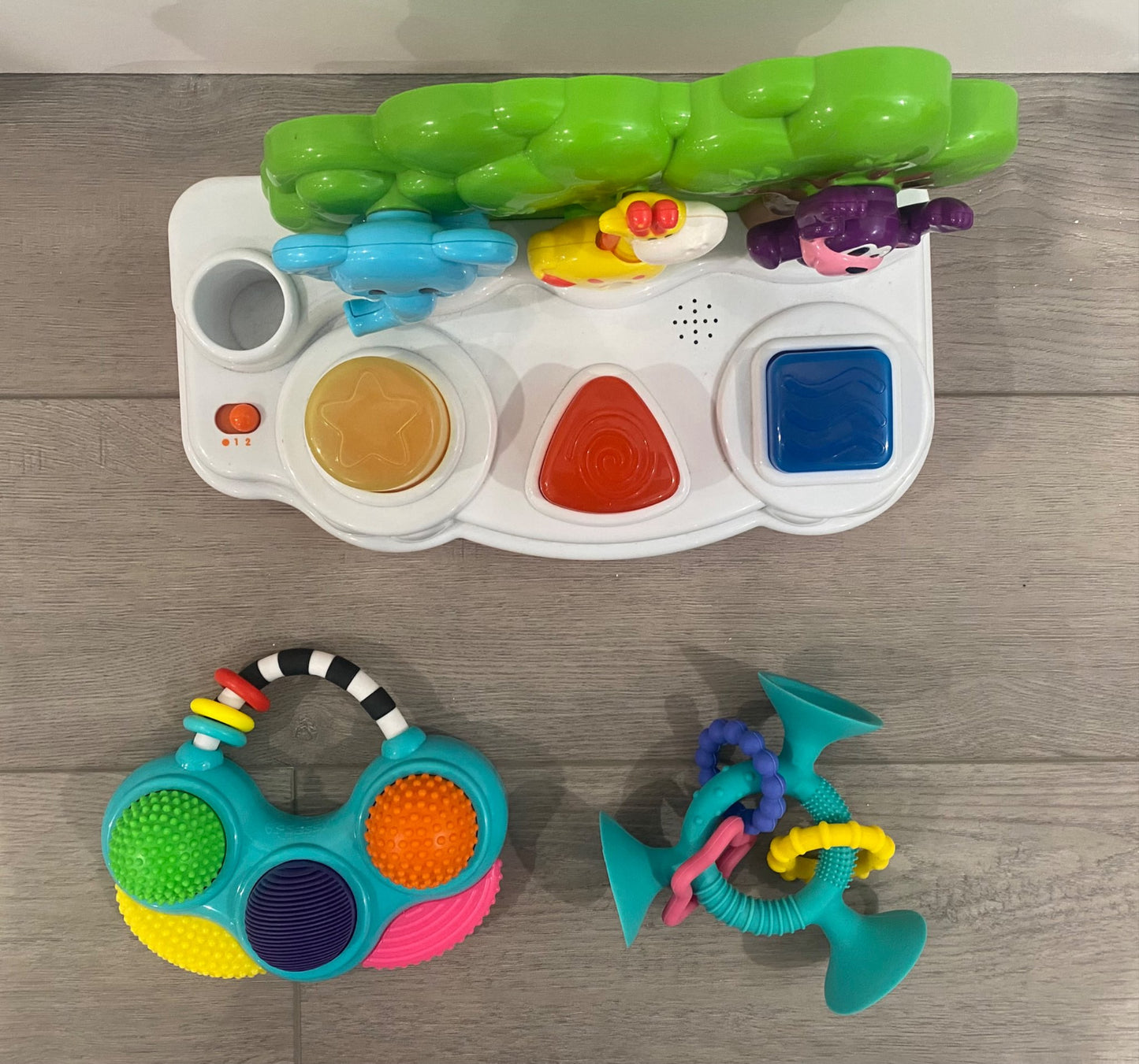 Toy bundle including sassy toys