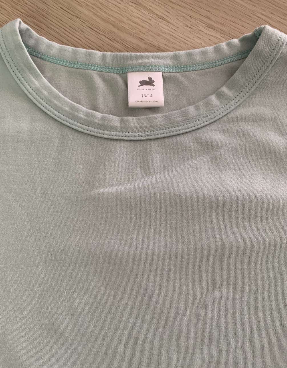 Little & Lively size 13/14 blue t shirt , Kids 12 & 14 (large)