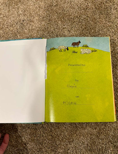 Jesus Storybook Bible
