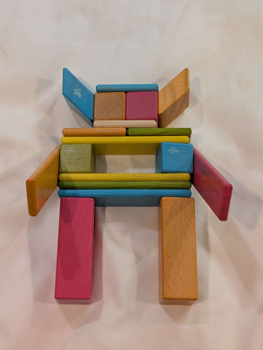 Tegu 24 Piece Magnetic Block Set, MSRP: $105