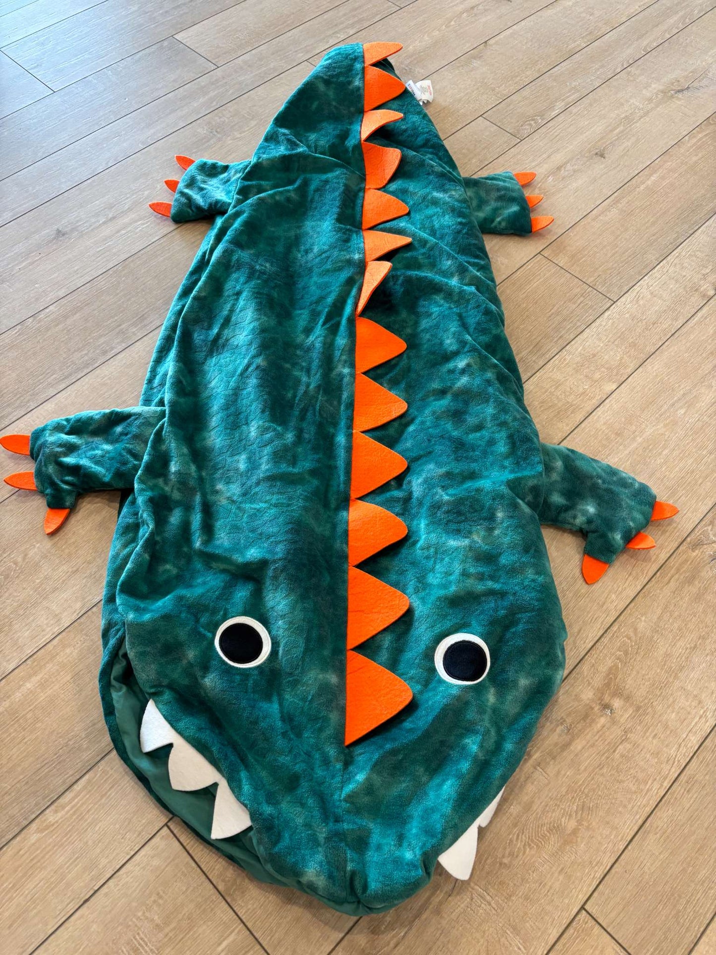 Dinosaur Blanket