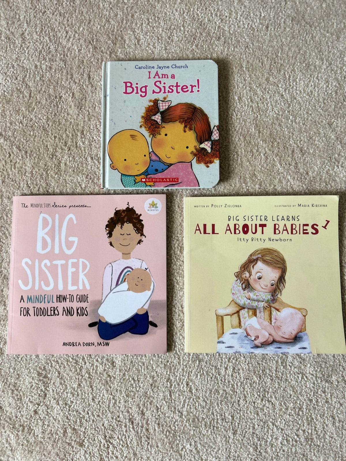 Big sister book lot