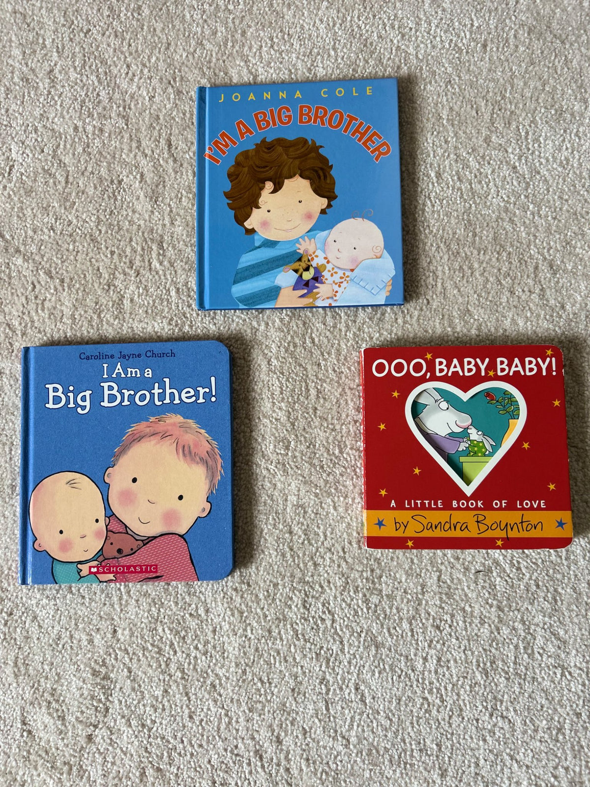 Big Brother Book Lot