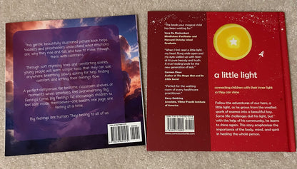 2x Feelings Board Books