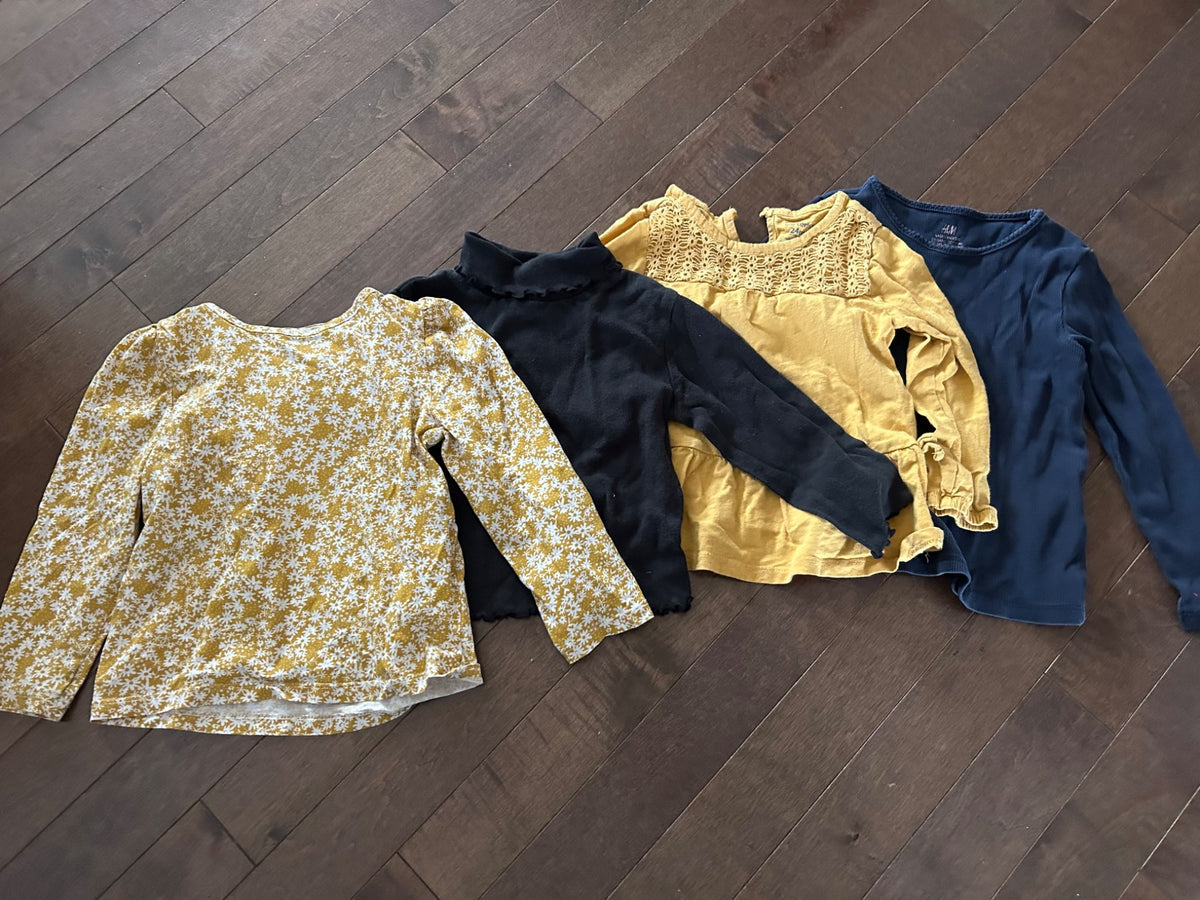 Girls 2T Fall longsleeve bundle , Kids 2T