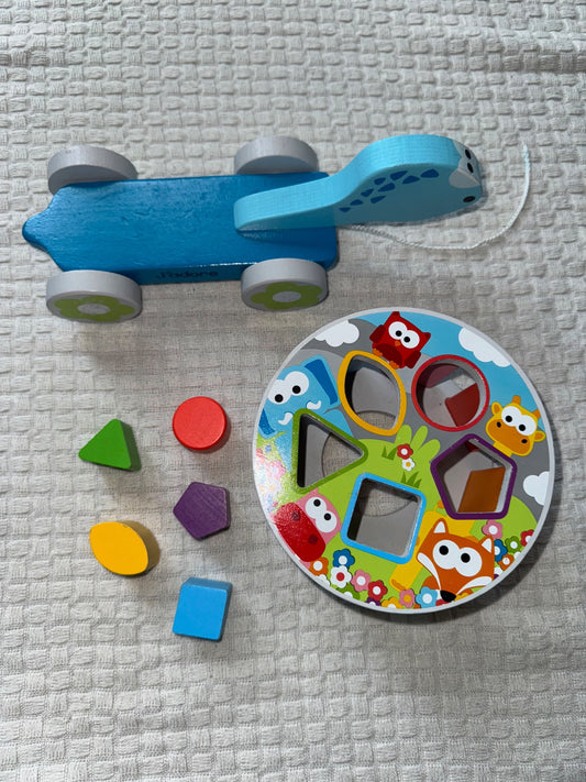 Shape sorter turtle