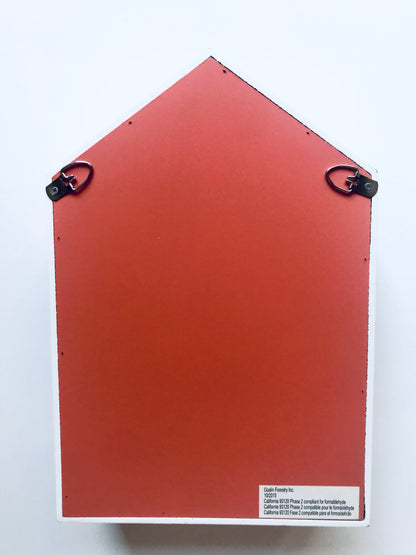 House Display Shelf