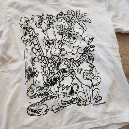 Coloring t-shirts