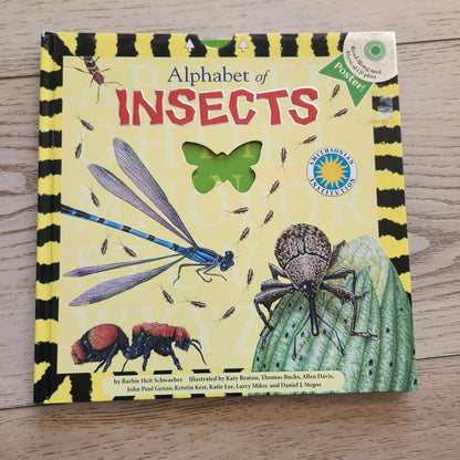 Insects ABC book