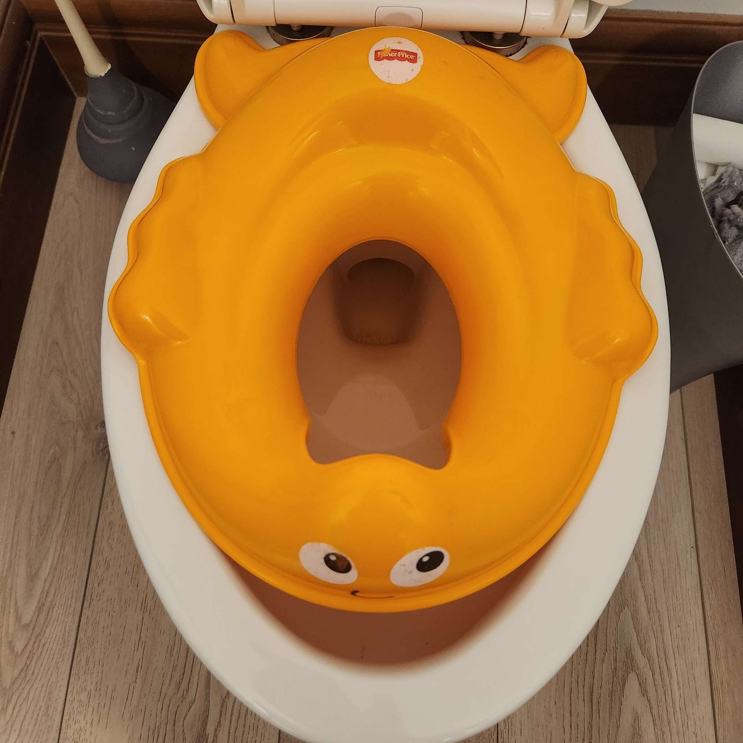 Potty training toilet