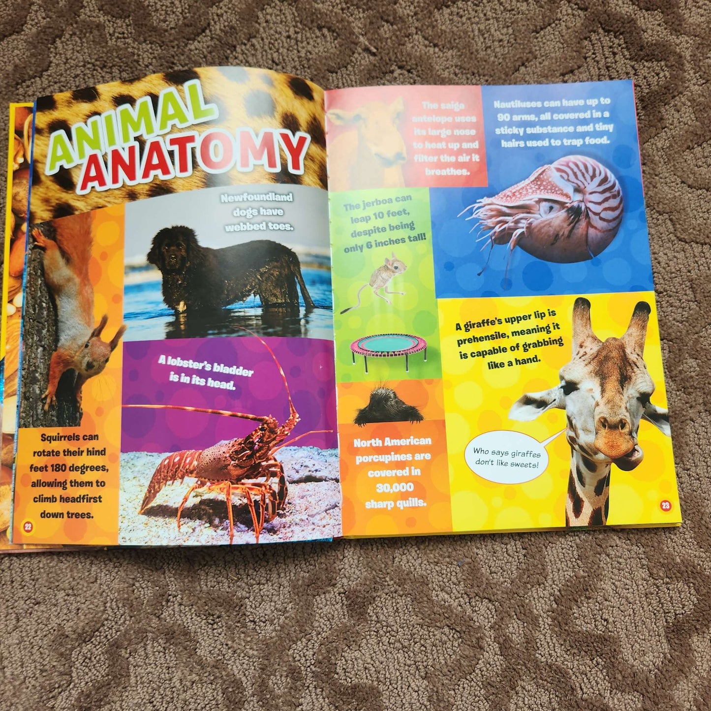 Fun Facts book,  Ripley's Believe It Or Not
