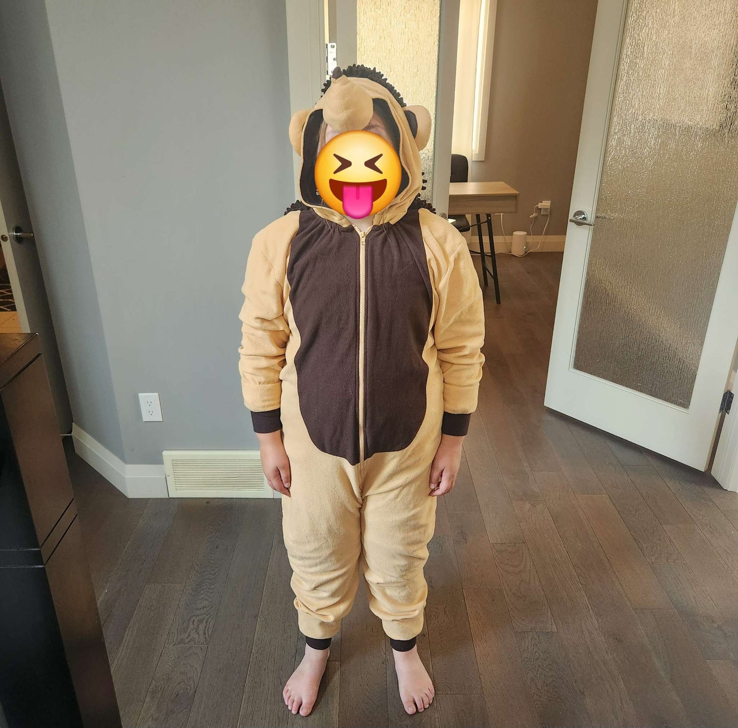 Hedgehog costume, kids ~8-14*, Kids 12