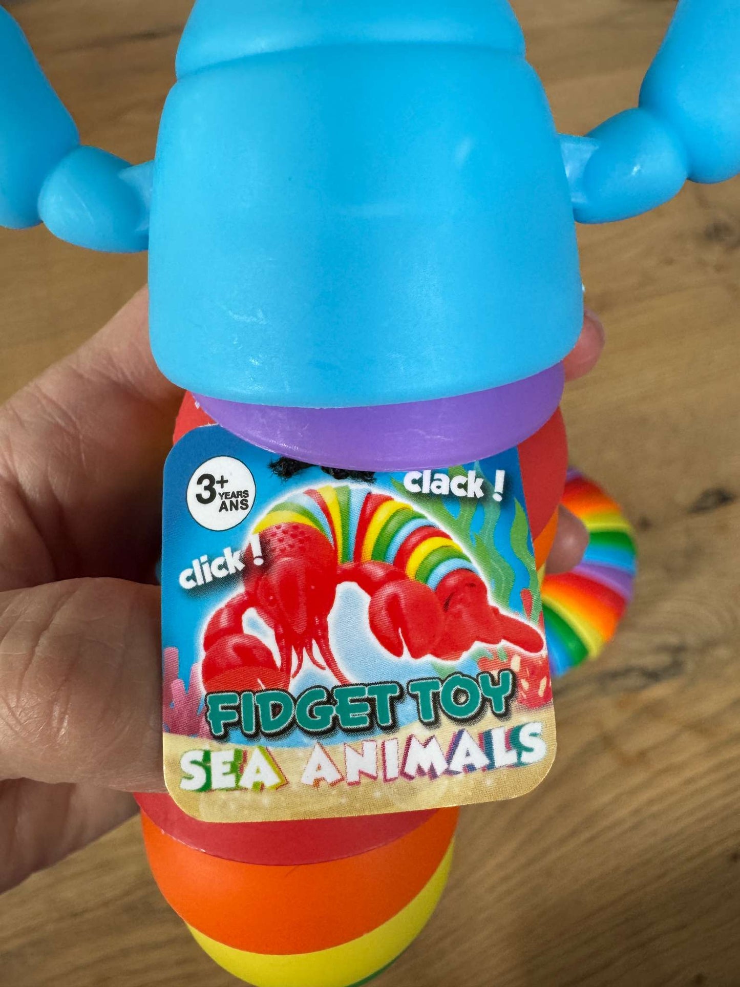 2 Pcs Fidget Slug and Lobster