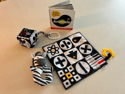 High Contrast Newborn Toys Bundle