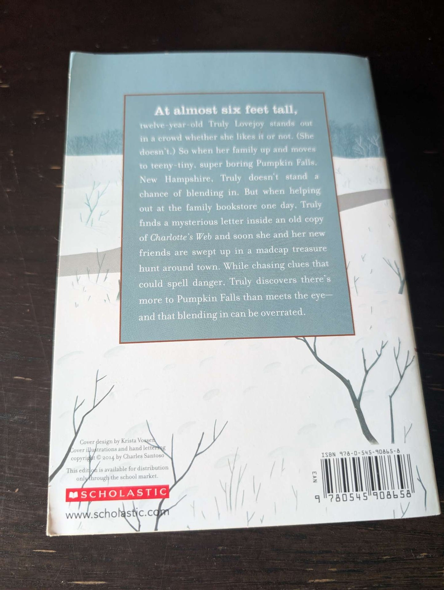 Two Preteen Scholastic Chapter Books