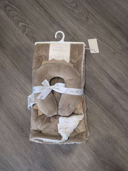 Dinosaur - Brand new baby blanket and pillow set