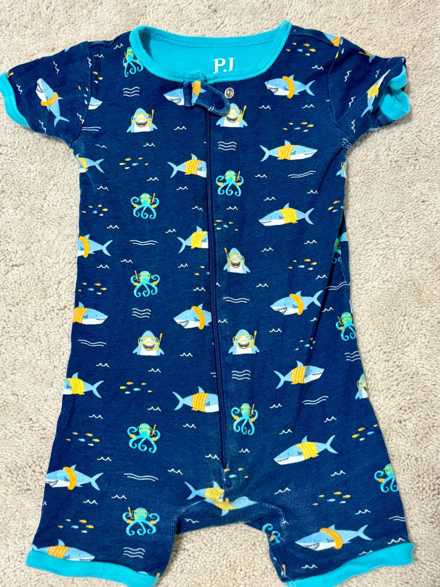 Toddler Boys PJ onesie, The Children’s Place, 12-18m, Kids 18 Month (12-18M)