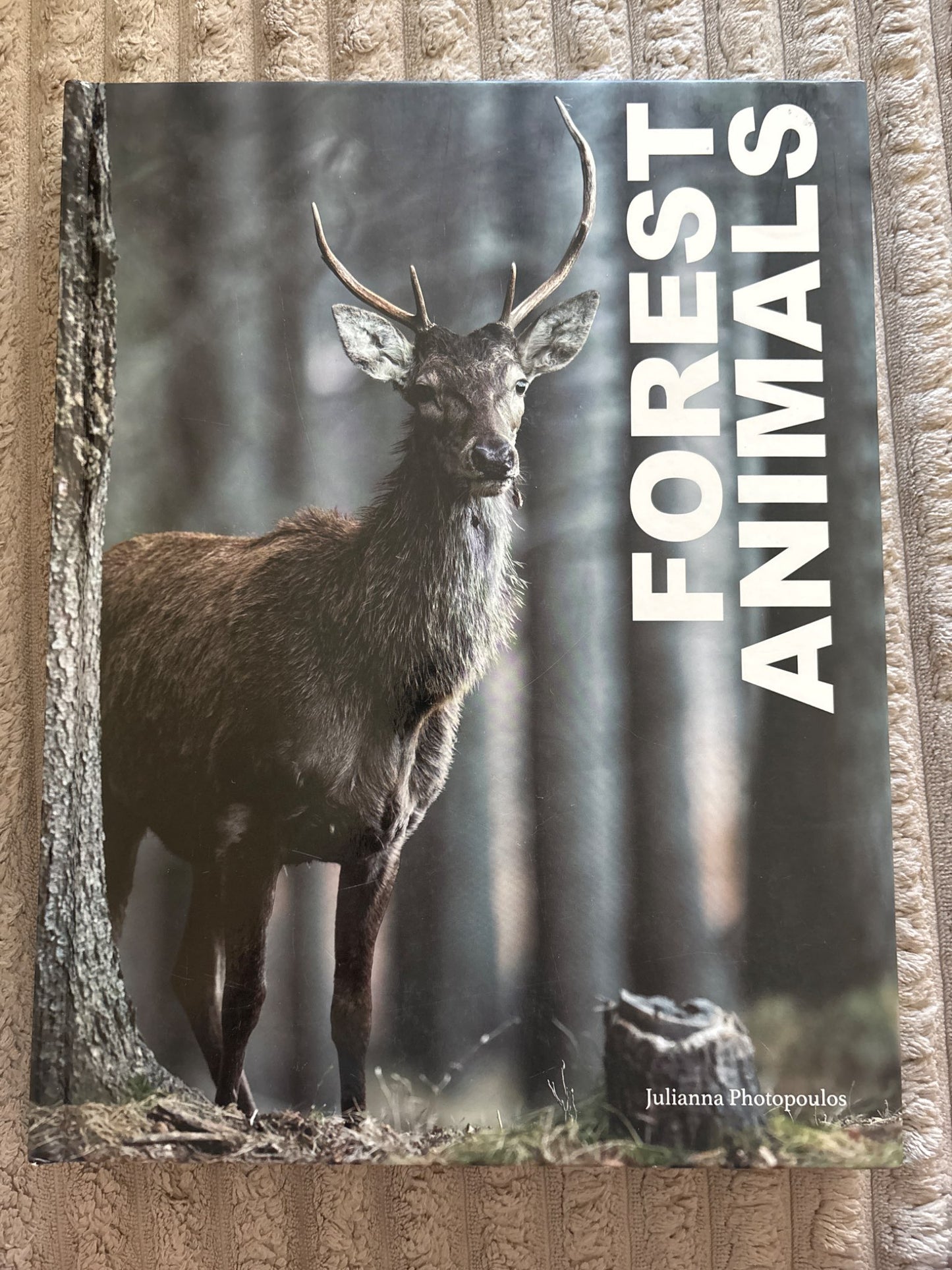 Forest Animals Photography Book