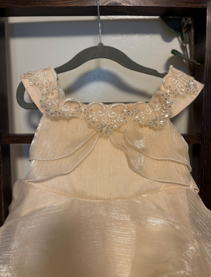 3T Toddler Girl Champagne Coloured Dress , Kids 3T